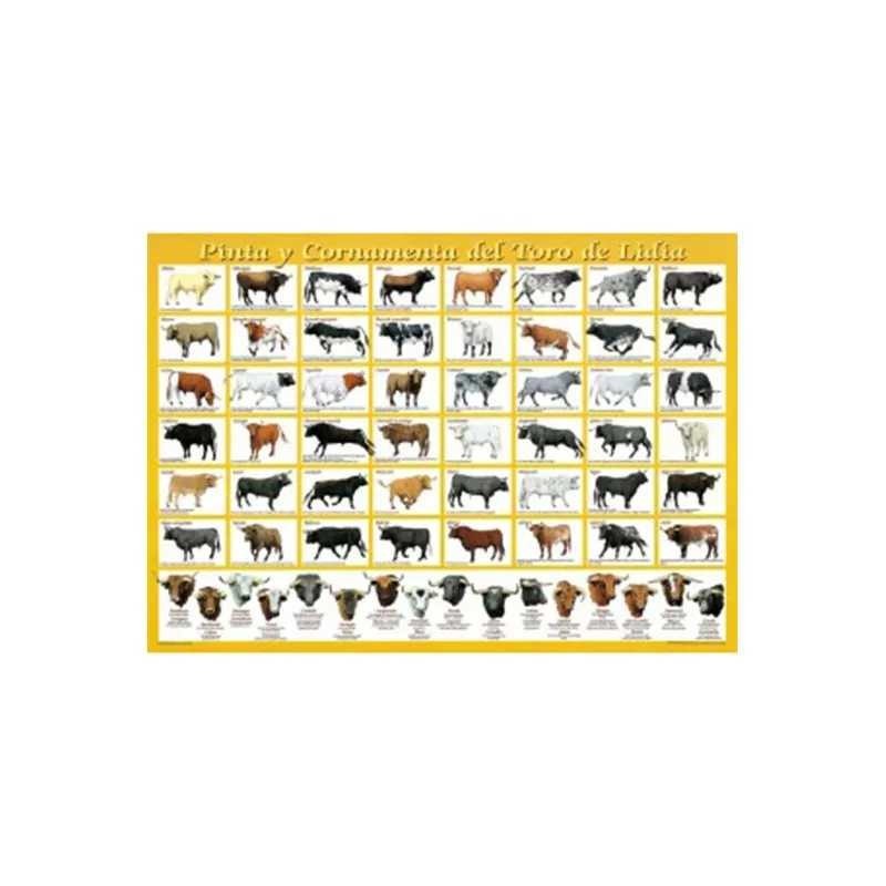 PÓSTER-LÁMINA: PINTAS Y CORNAMEN.DEL TORO  LIDIA