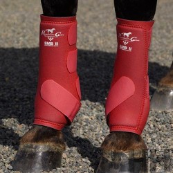 PROTECTOR PROFESSIONAL'S CHOICE SMBII (PAR)