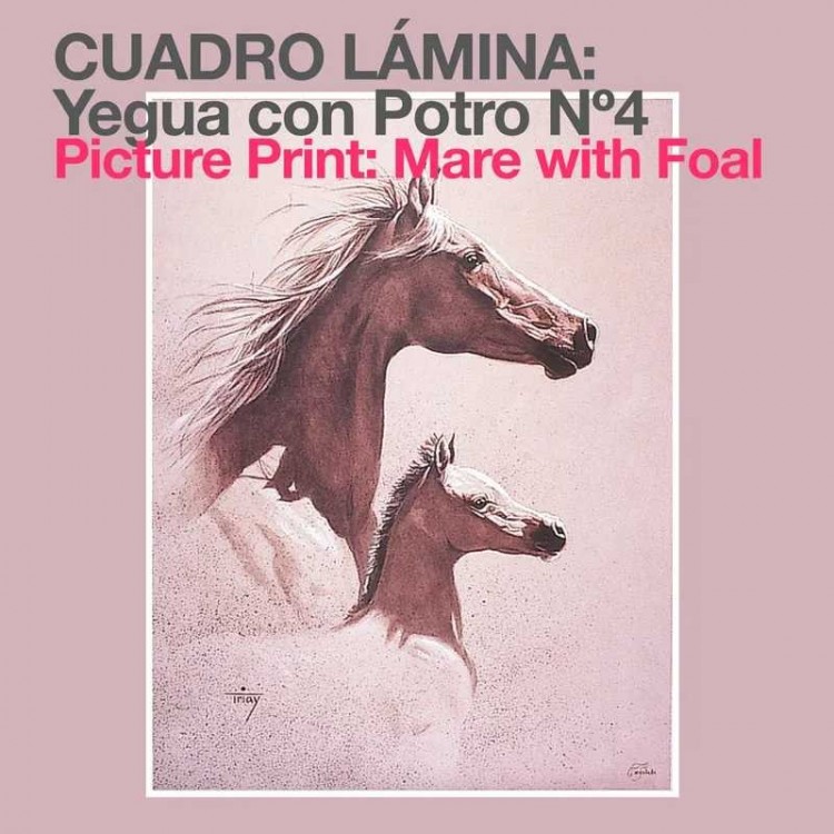 CUADRO LÁMINA: YEGUA CON POTRO Nº4