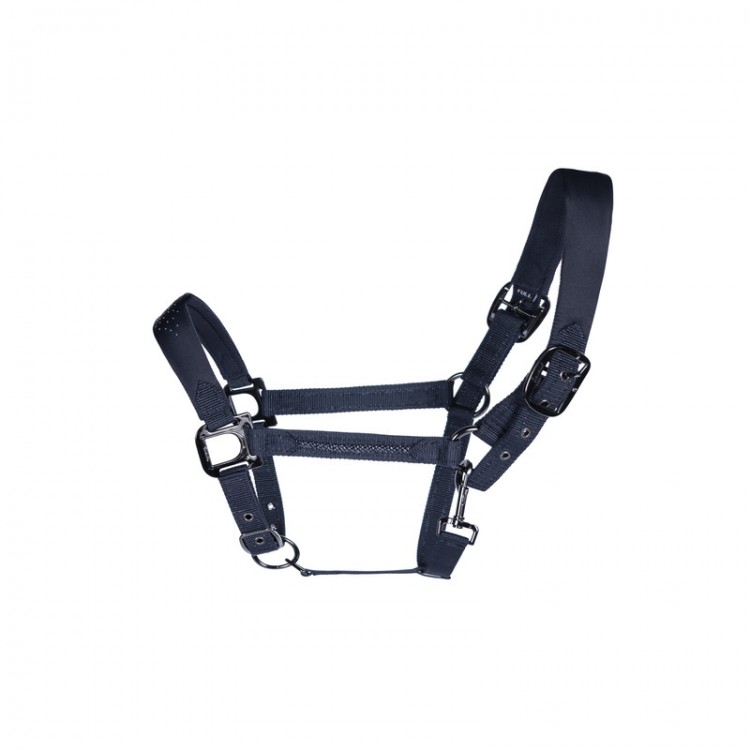 Cabezada Cuadra Hamina Cavallo