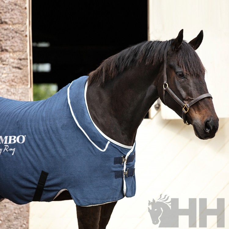 MANTA RAMBO DRY RUG TOALLA SECADO